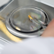 画像をギャラリービューアに読み込む, NMN極<sup>®</sup>|お試し1シート(10粒)